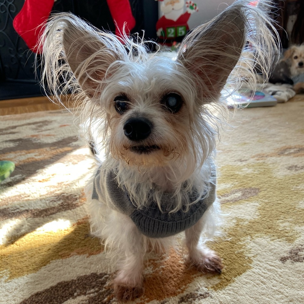 Meet your Posher, Kt